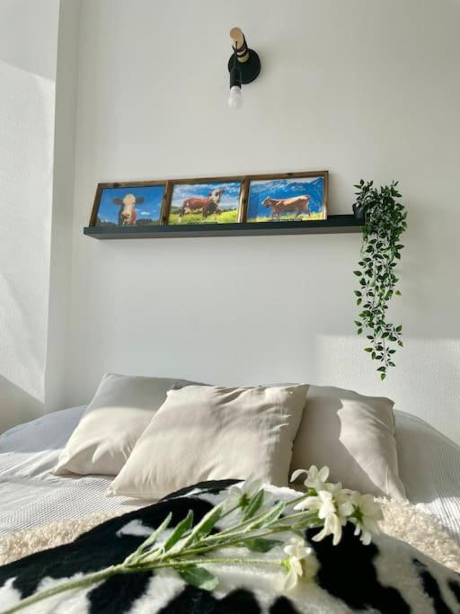 La Mascotte Apartment Saint-Louis  Luaran gambar